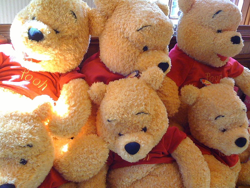 Florida [2010 Jan] 222.JPG